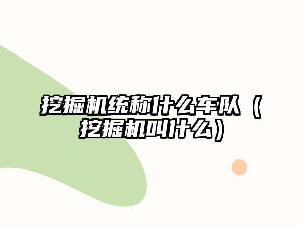 挖掘机统称什么车队（挖掘机叫什么）